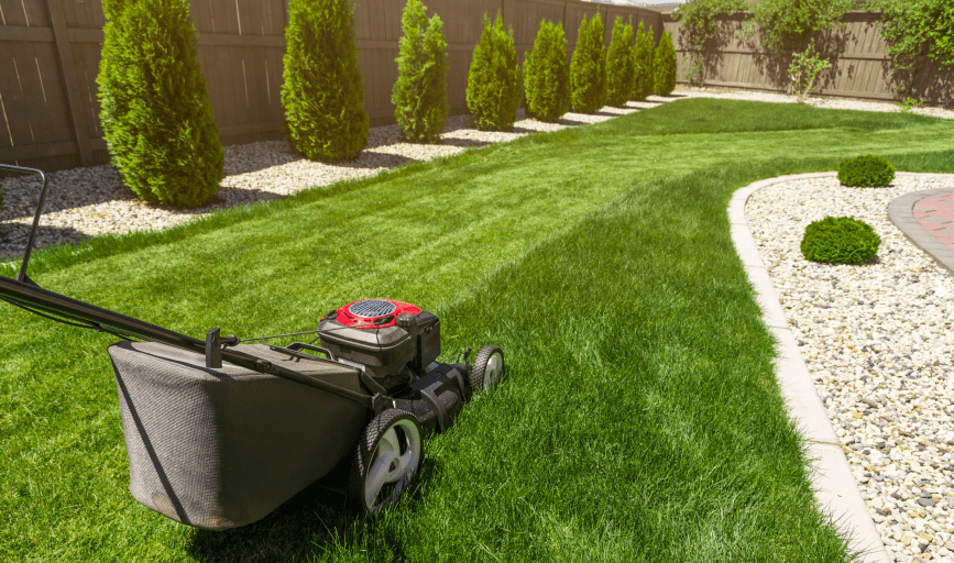 LAWN MOWING